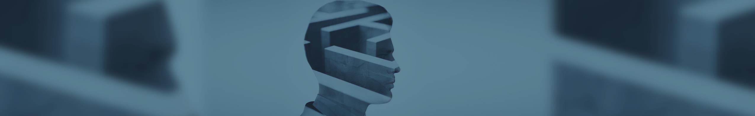 Patroonherkenning in Fraudesignalen 